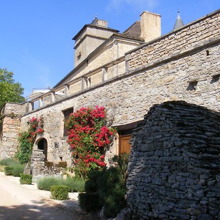 Chateau De Laumiere Promilhanes Экстерьер фото